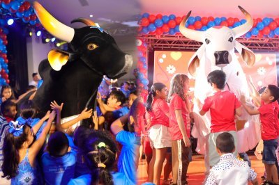 Após sucesso da estreia, Bumbá Fest Kids realiza 2ª edição neste domingo em Parintins